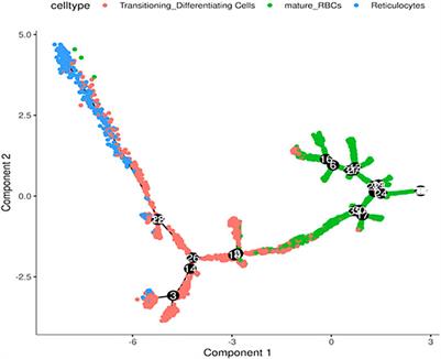 Frontiers Single Cell RNA Seq Analysis Of Human Red Cells